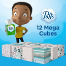 Puffs Plus Lotion 2-Ply Facial Tissues 12 Cube Boxes, 72 tissues/box