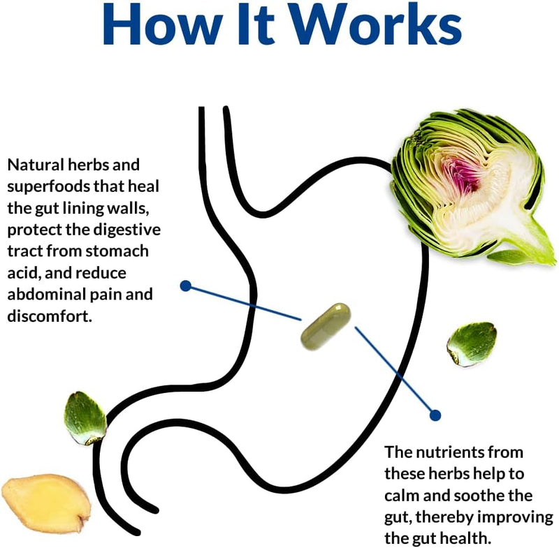 Gut Alive – Natural Digestive Support (60 Capsules)