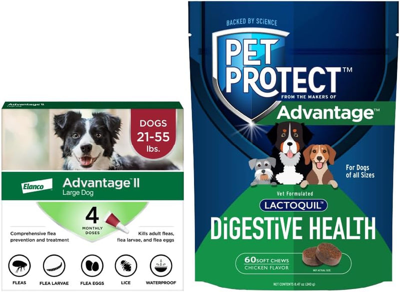 Bundle of Advantage II Large Dog| Dogs 21-55 lbs. | 4-Month Supply + Pet Protect Dog Digestive Health Supplement | 60 Chews