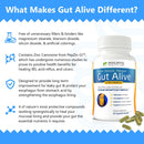 Gut Alive – Natural Digestive Support (60 Capsules)