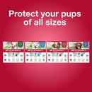 K9 Advantix II Small Dog Vet-Recommended Flea, Tick & Mosquito Treatment & Prevention | Dogs 4-10 lbs. | 6-Mo Supply