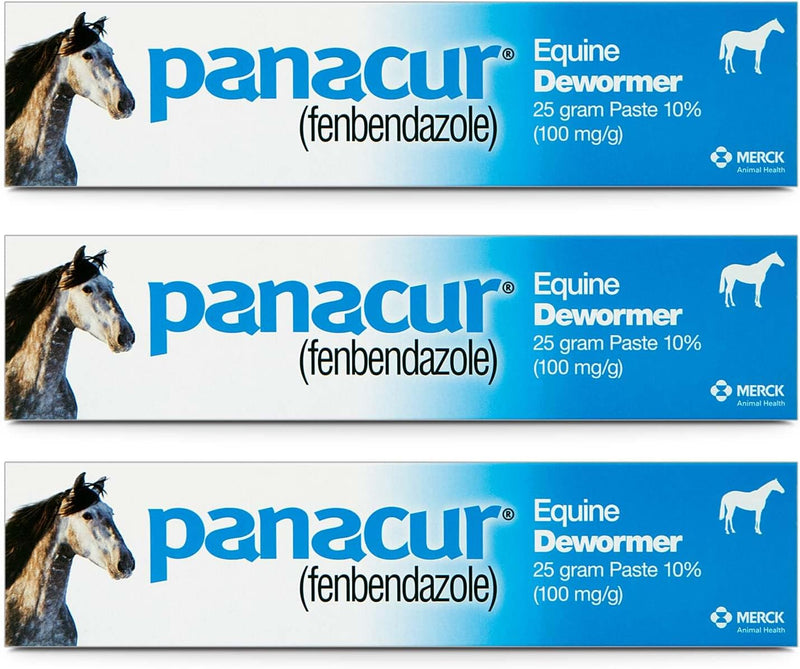 Panacur (3 Pack) Dewormer Horse Paste 10%, 100mg Each