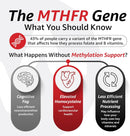 10X Health Optimize Methylated Multivitamin 90 Capsules