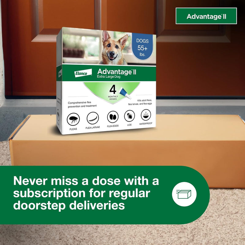 Advantage II XL Dog Vet-Recommended Flea Treatment & Prevention | Dogs Over 55 lbs. | 4-Month Supply