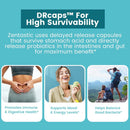 Zentastic Probiotics & Prebiotics – 50 Billion CFU, 16 Strains, Digestive & Immune Support, Shelf-Stable, 60 Veggie Capsules