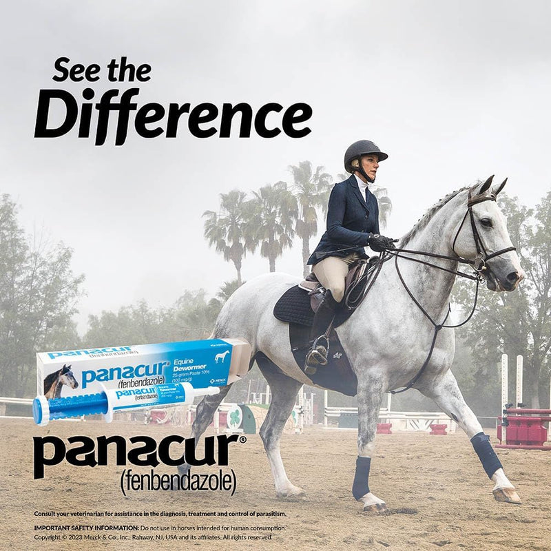Panacur (3 Pack) Dewormer Horse Paste 10%, 100mg Each