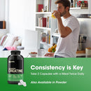 Optimum Nutrition Micronized Creatine Monohydrate Capsules, Keto Friendly, 2500mg, 300 Capsules