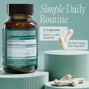 BIOMA Probiotics – Digestive & Gut Health Support, Vegan & Gluten-Free, XOS, Tributyrin & Bifidobacterium, 60 Delayed-Release Capsules