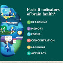 Neuriva Plus Brain Supplement – Memory, Focus & Cognitive Support with B6, B12 & Phosphatidylserine, 30 Capsules