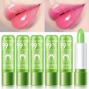 Aloe Lipstick