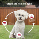 K9 Advantix II Small Dog Vet-Recommended Flea, Tick & Mosquito Treatment & Prevention | Dogs 4-10 lbs. | 6-Mo Supply