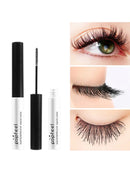 Eye Makeup Starter Kit