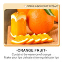 Vitamin C Lip Balm With Antioxidants