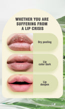 Aloe Vera Lip Tint Set