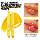 Hydrating Glossy Mirror Lip Gloss Lipstick