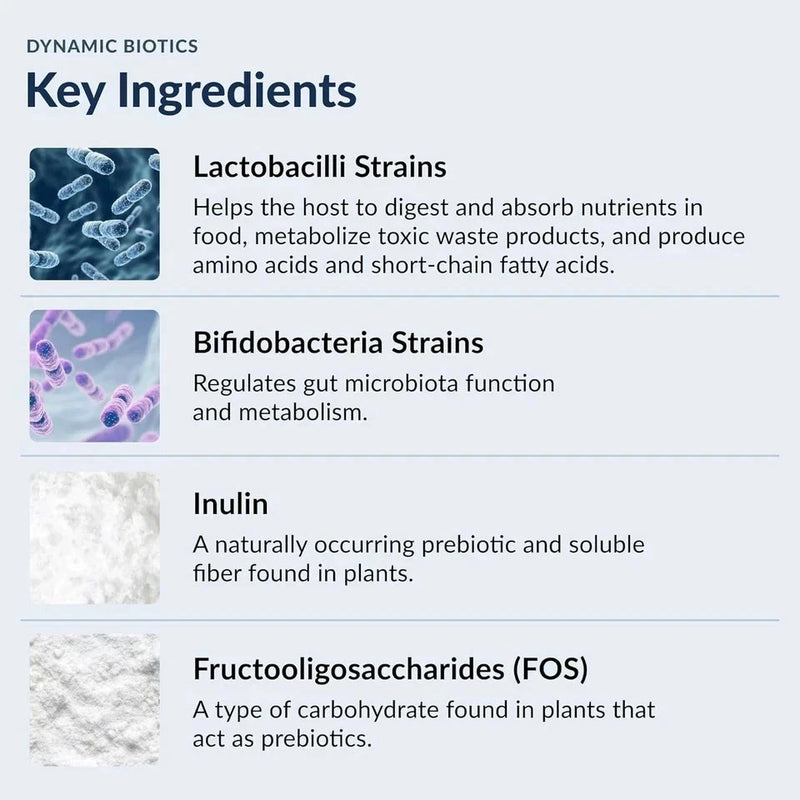 Dynamic BIOTICS Stonehenge Probiotic Immune Support Digestive IBS Gut Immune