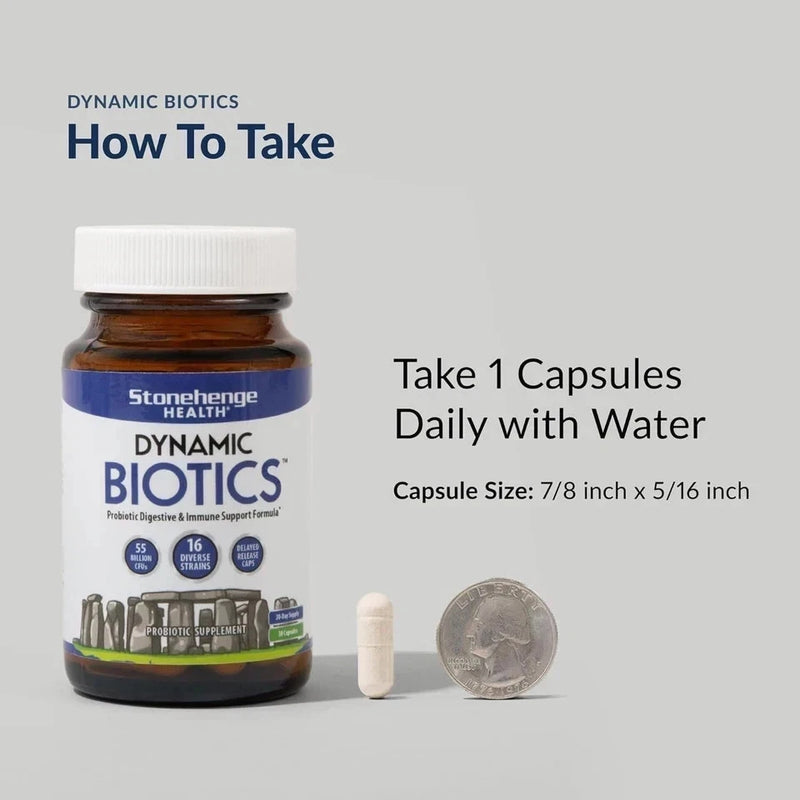 Dynamic BIOTICS Stonehenge Probiotic Immune Support Digestive IBS Gut Immune