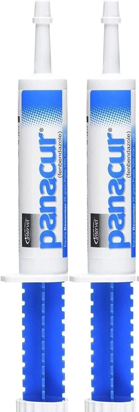 PANACUR Dewormer Horse Paste 10%, 100mg (2-Pack)