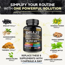 Shilajit Multivitamin (Turmeric, Ashwagandha, Ginger, Cordyceps Mushrooms)60 cap