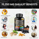 Shilajit Multivitamin (Turmeric, Ashwagandha, Ginger, Cordyceps Mushrooms)60 cap