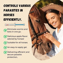 2 Pack In Box Paste Horse Dewormer Apple Flavor wormer Friendly design