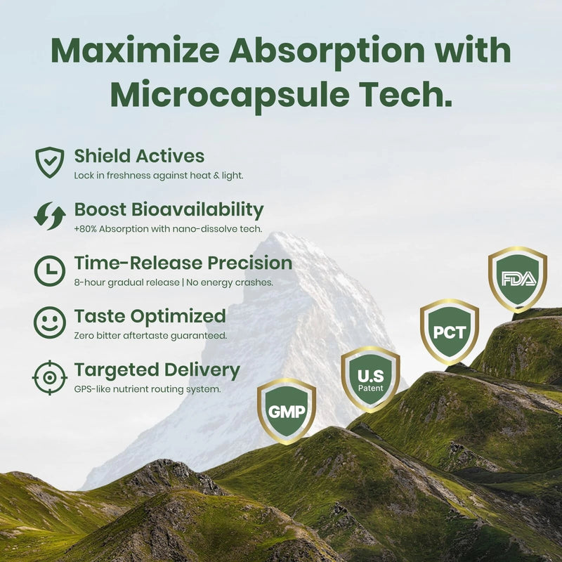 Flynew Shilajit Ultra Optimal Potency, Shilajit Extract with L-Arginine, Pure