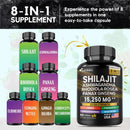Shilajit Multivitamin (Turmeric, Ashwagandha, Ginger, Cordyceps Mushrooms)60 cap