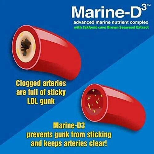 Marine Essentials | Marine-D3 | Anti-Aging | Omega-3 | 1 Bottle (60 Capsules)