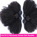 Wholesale 5/6/10/12 Bundles Afro Kinky Curly 10A Grade Human Hair Bund